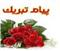 صورة مصغّرة